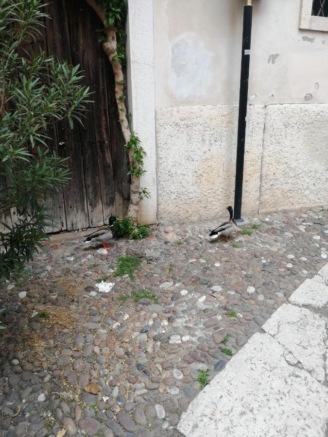 Verona Goddess House Dış mekan fotoğraf